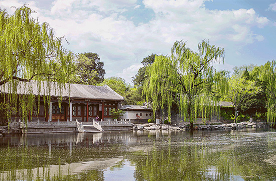 清華大學(xué)